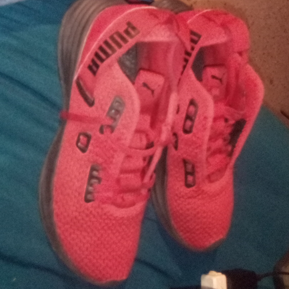 Red pumas